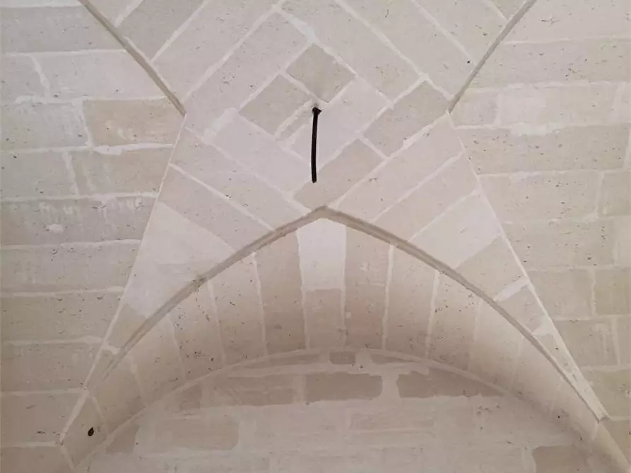 Immagine 6 di Villa in vendita  in contrada manfio a Casarano