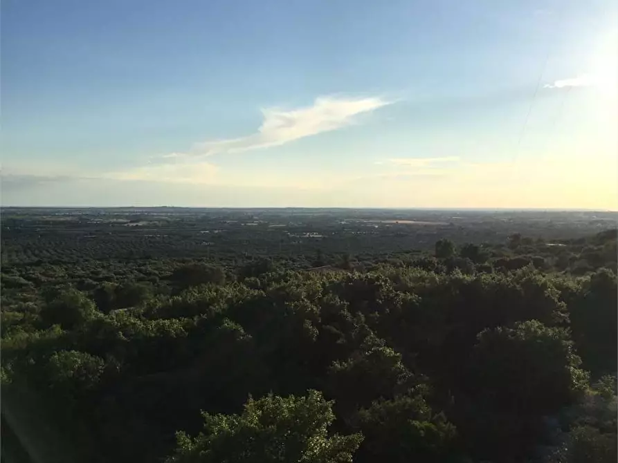 Immagine 26 di Villa in vendita  in contrada manfio a Casarano