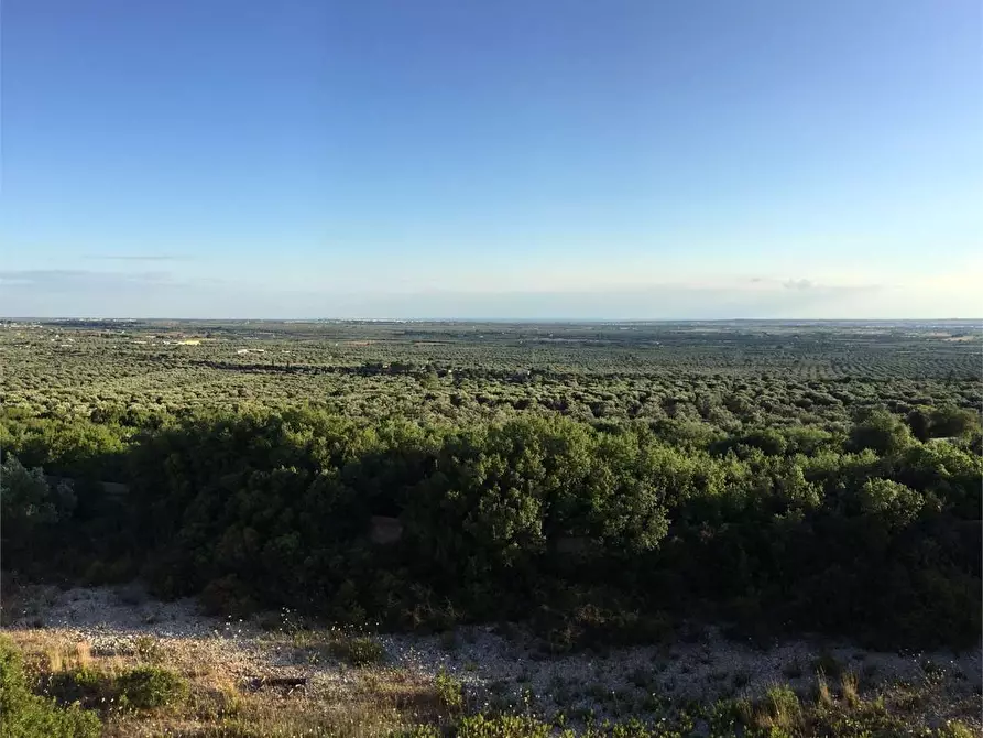 Immagine 28 di Villa in vendita  in contrada manfio a Casarano