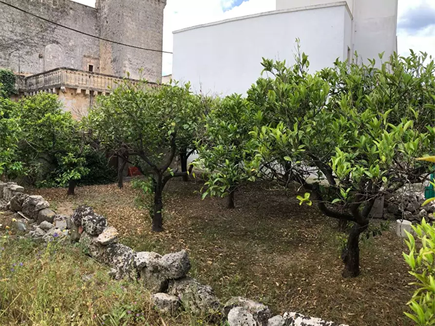 Immagine 8 di Rustico / casale in vendita  a Alliste