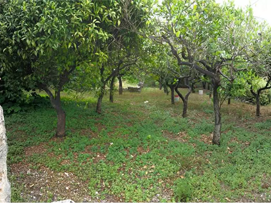 Immagine 9 di Rustico / casale in vendita  a Alliste