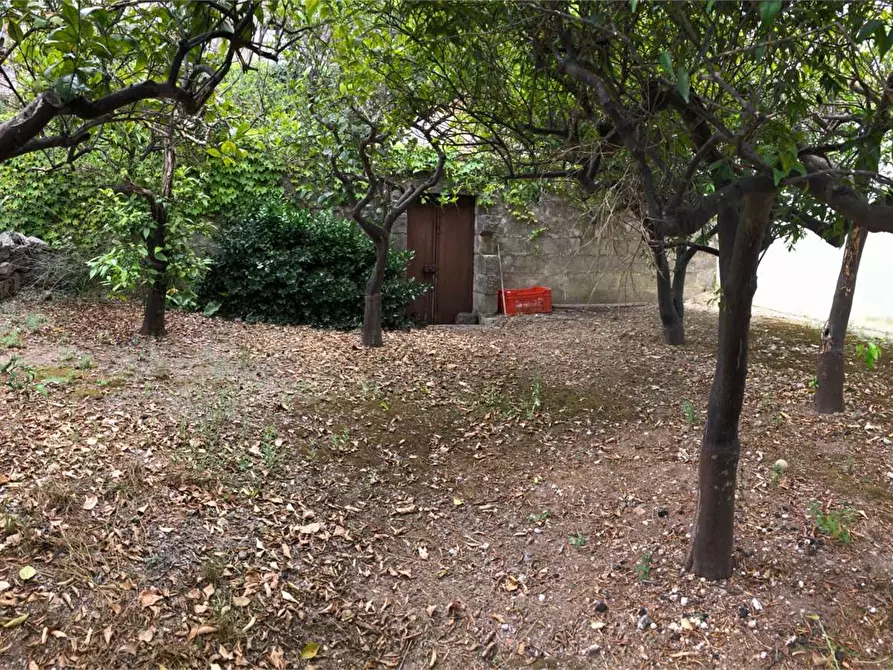 Immagine 10 di Rustico / casale in vendita  a Alliste