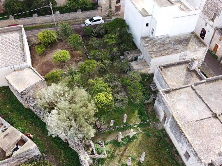 Immagine 29 di Rustico / casale in vendita  a Alliste