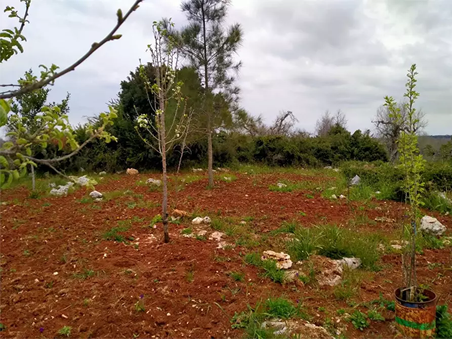 Immagine 11 di Rustico / casale in vendita  a Casarano