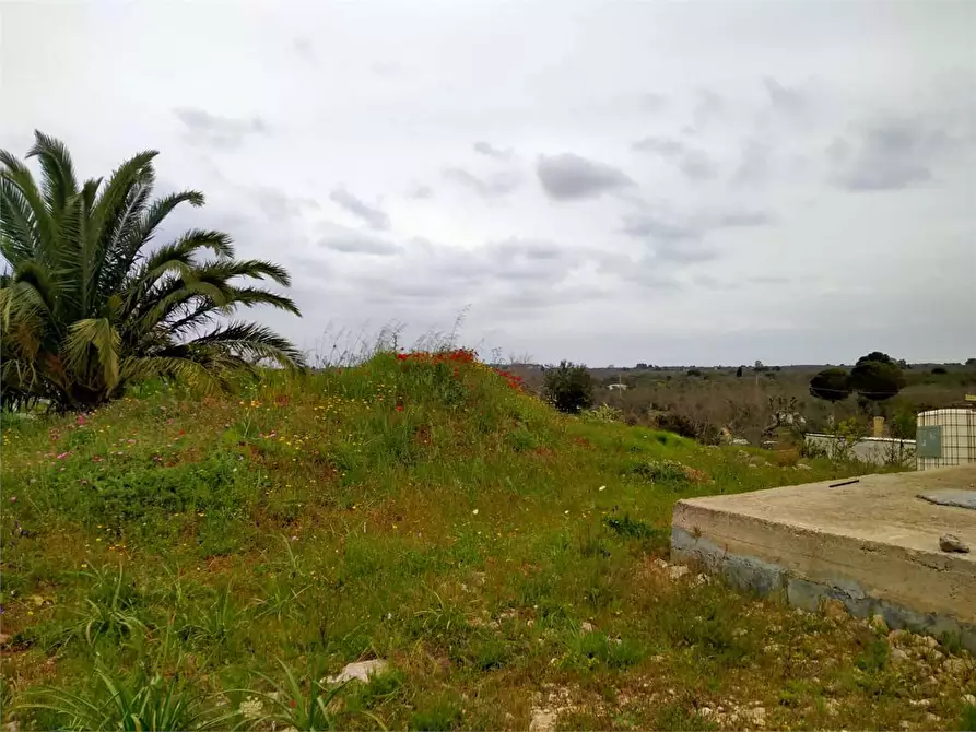 Immagine 13 di Rustico / casale in vendita  a Casarano