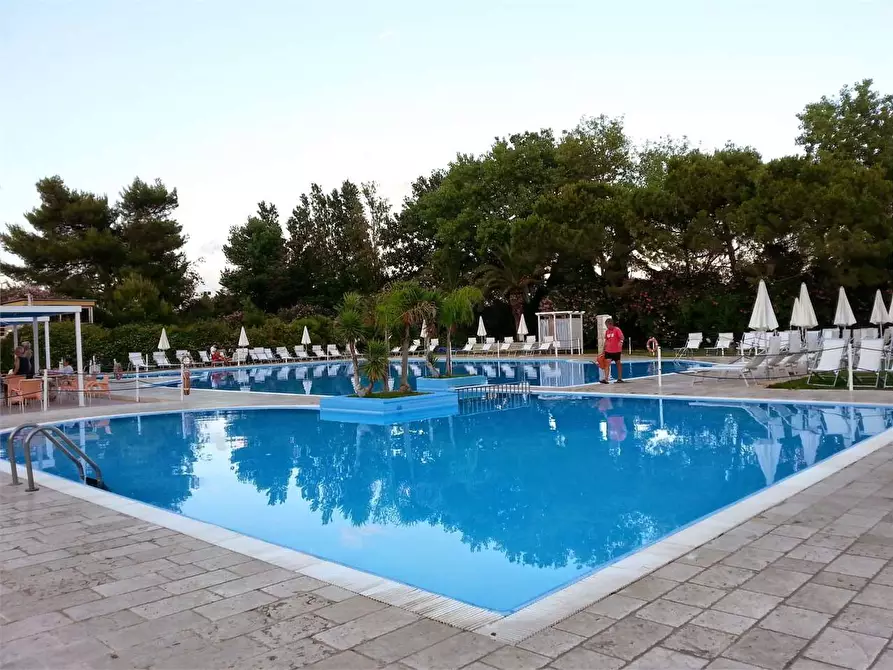 Immagine 6 di Appartamento in vendita  a Ugento