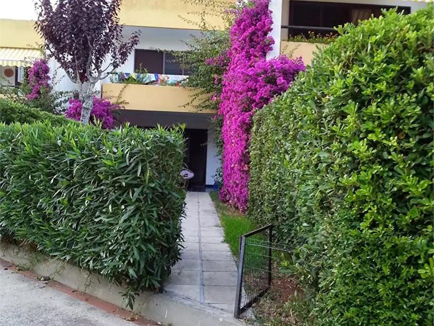 Immagine 16 di Appartamento in vendita  a Ugento