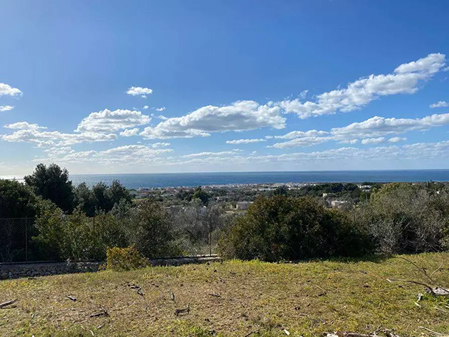 Immagine 7 di Hotel in vendita  a Salve