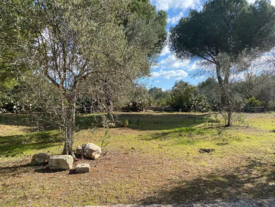 Immagine 11 di Hotel in vendita  a Salve