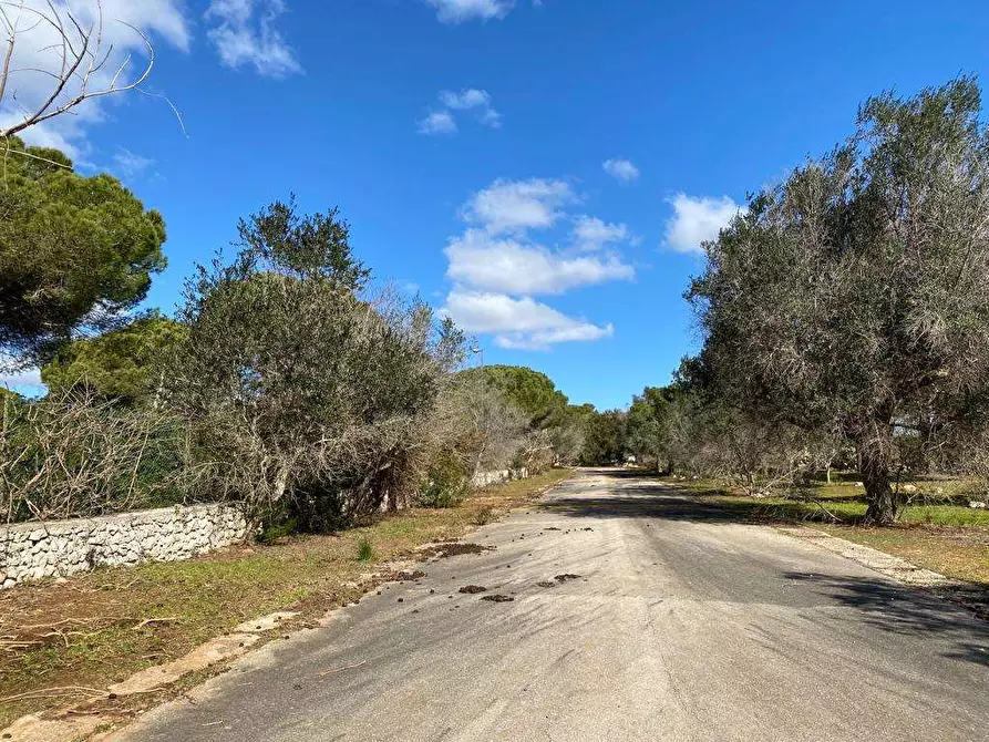 Immagine 10 di Hotel in vendita  a Salve