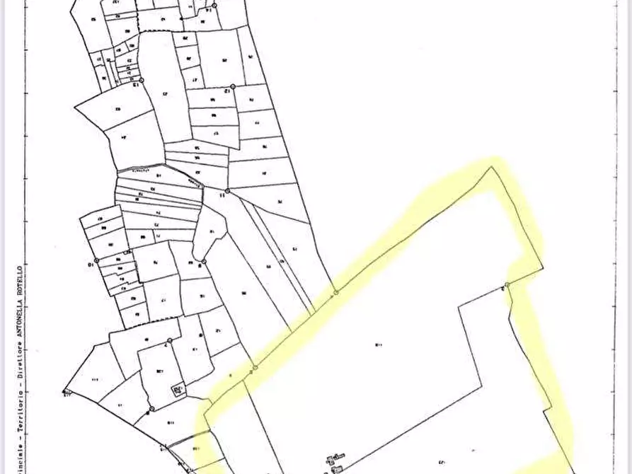 Immagine 1 di Azienda agricola in vendita  a Otranto