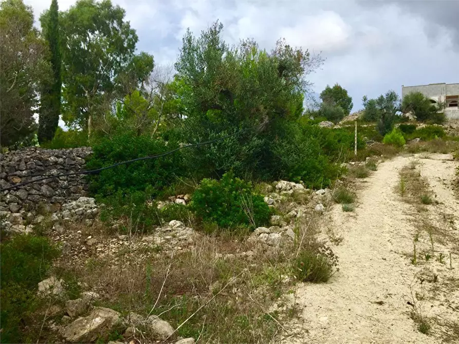 Immagine 25 di Villa in vendita  in Contrada Rischiazzi a Parabita