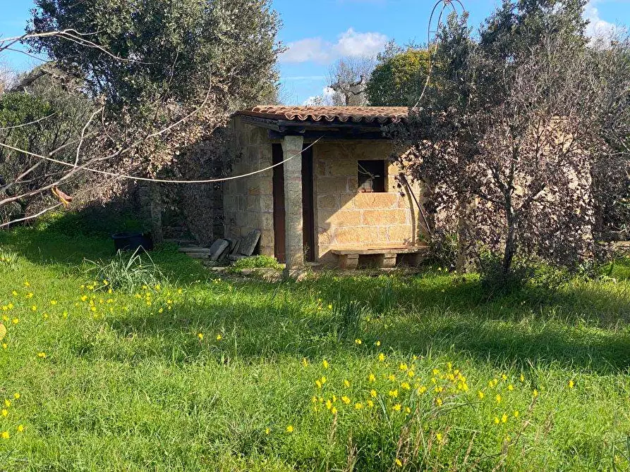 Immagine 29 di Villa in vendita  in Contrada Rischiazzi a Parabita