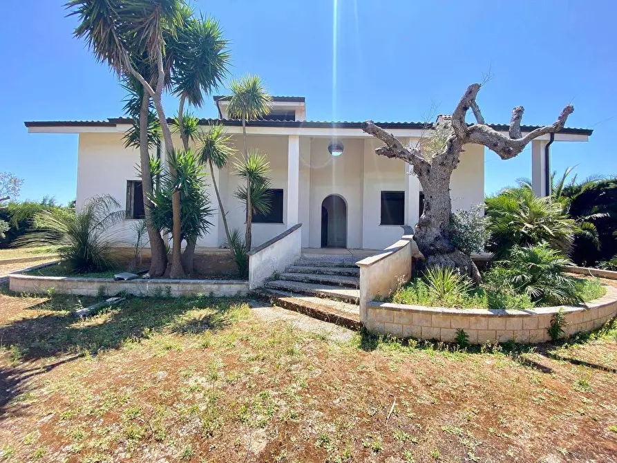 Immagine 3 di Villa in vendita  a Ruffano