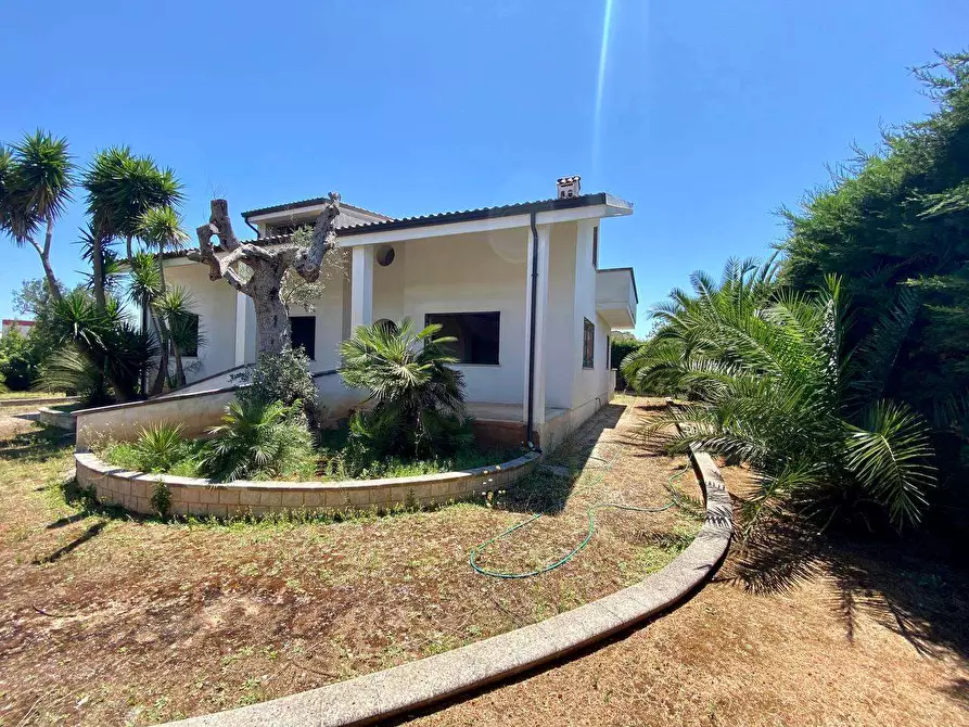 Immagine 4 di Villa in vendita  a Ruffano