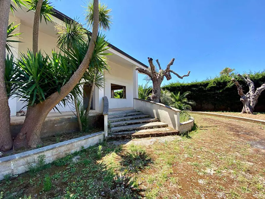 Immagine 5 di Villa in vendita  a Ruffano