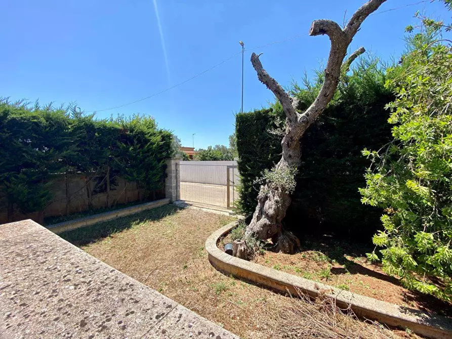 Immagine 33 di Villa in vendita  a Ruffano