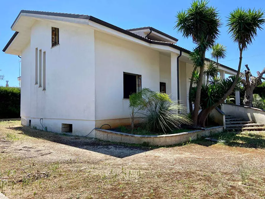 Immagine 7 di Villa in vendita  a Ruffano