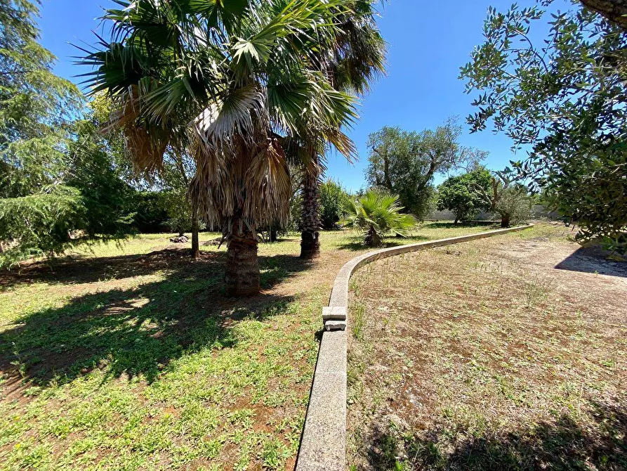 Immagine 8 di Villa in vendita  a Ruffano