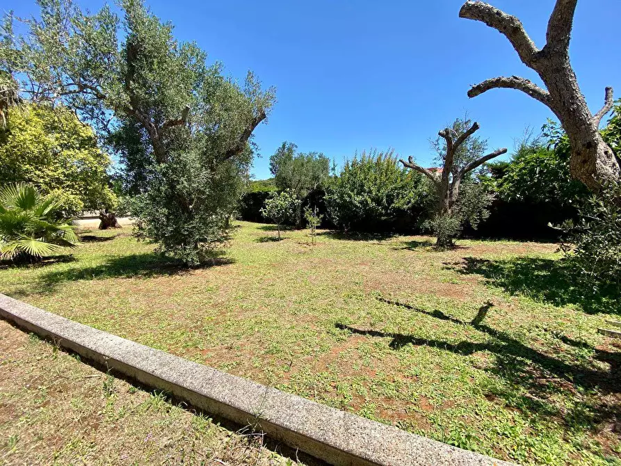 Immagine 9 di Villa in vendita  a Ruffano