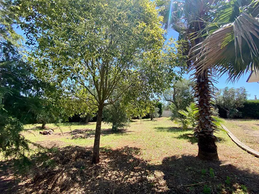 Immagine 10 di Villa in vendita  a Ruffano