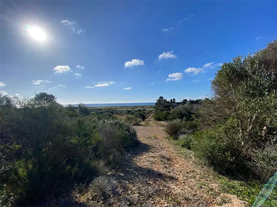 Immagine 14 di Villa in vendita  in litoranea x leuca a Salve