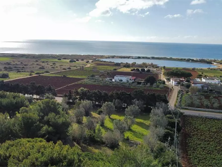 Immagine 6 di Villa in vendita  in litoranea x leuca a Salve