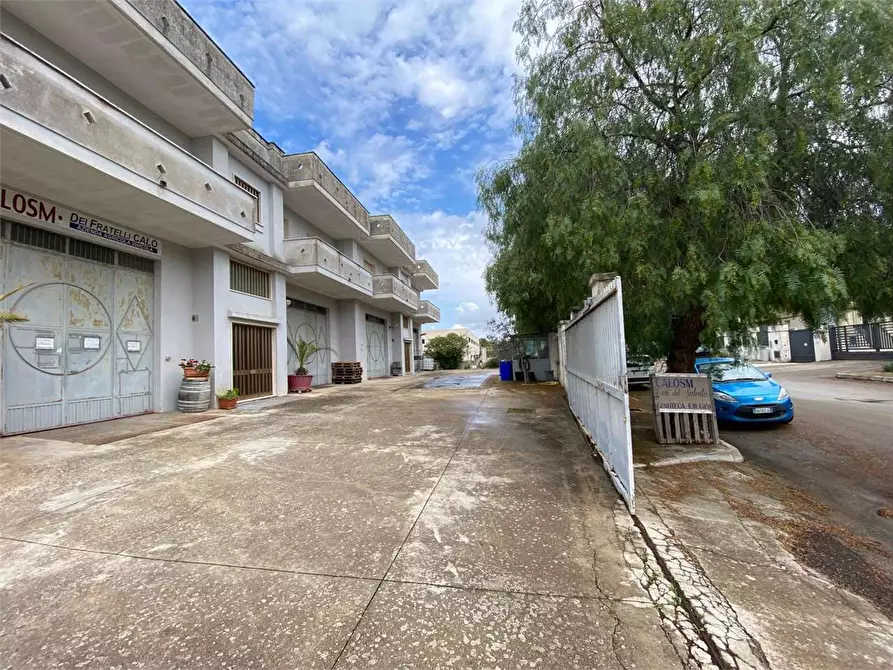 Immagine 4 di Azienda agricola in vendita  in zona industriale a Tuglie