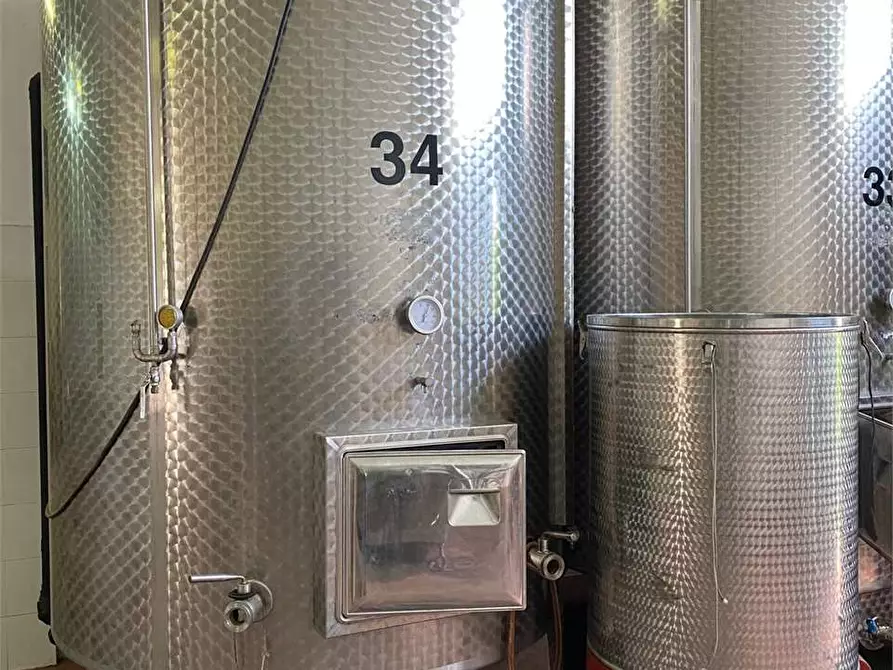 Immagine 5 di Azienda agricola in vendita  in zona industriale a Tuglie