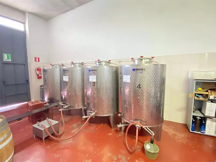 Immagine 6 di Azienda agricola in vendita  in zona industriale a Tuglie