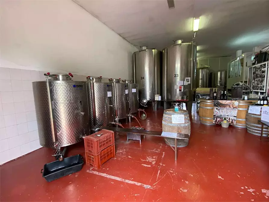 Immagine 7 di Azienda agricola in vendita  in zona industriale a Tuglie