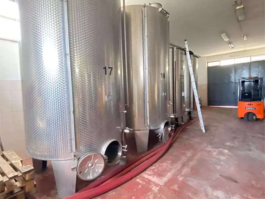 Immagine 8 di Azienda agricola in vendita  in zona industriale a Tuglie