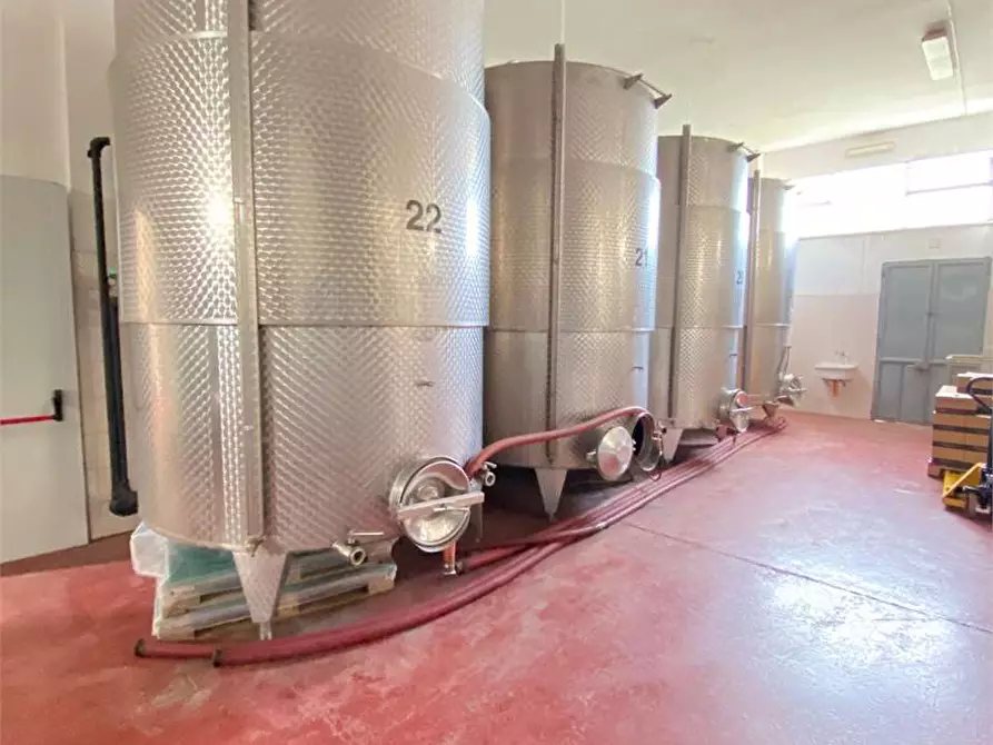 Immagine 9 di Azienda agricola in vendita  in zona industriale a Tuglie