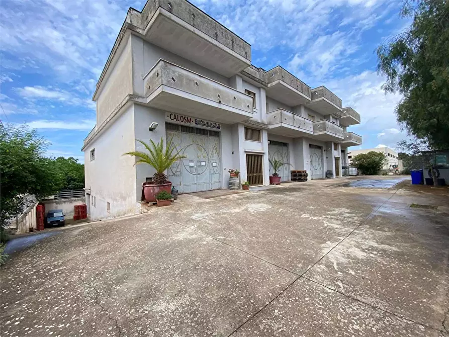 Immagine 12 di Azienda agricola in vendita  in zona industriale a Tuglie