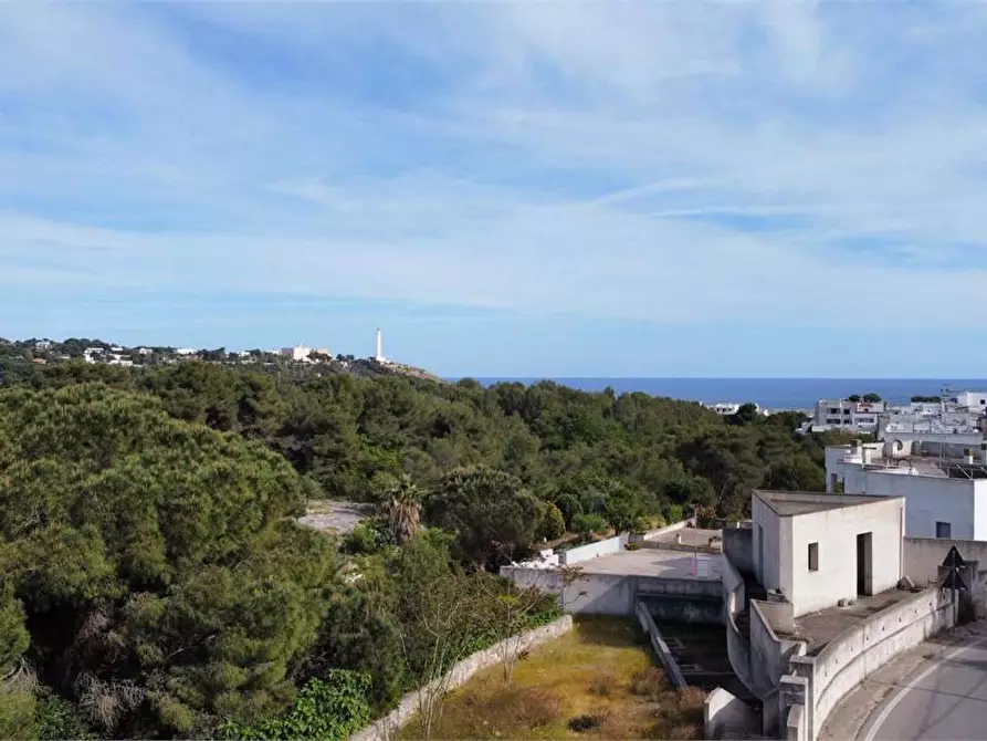 Immagine 3 di Rustico / casale in vendita  in Via quinto ennio a Castrignano Del Capo