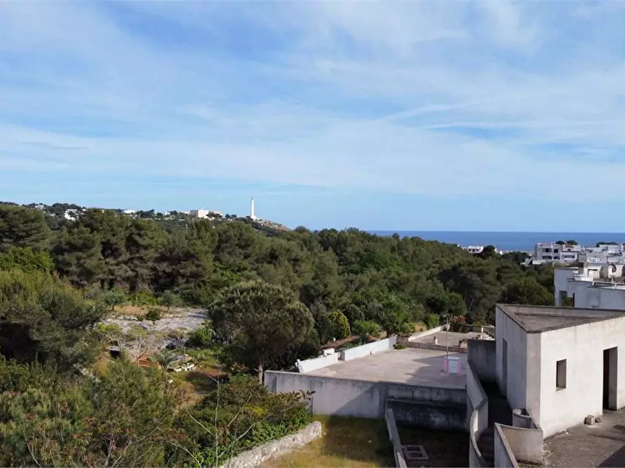 Immagine 4 di Rustico / casale in vendita  in Via quinto ennio a Castrignano Del Capo