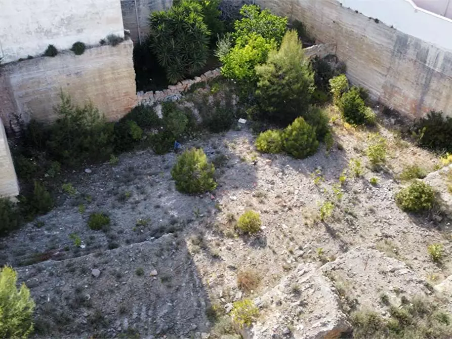 Immagine 4 di Terreno edificabile in vendita  in Via quinto ennio a Castrignano Del Capo