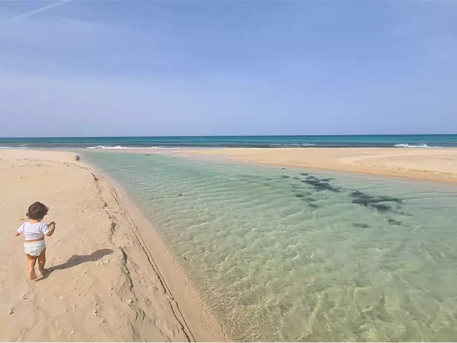 Immagine 3 di Casa indipendente in vendita  in via polo a Lecce