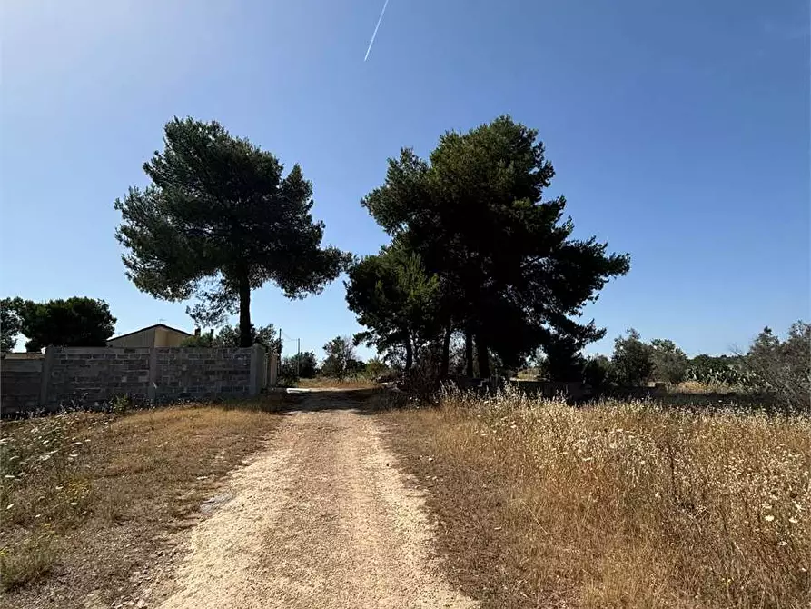 Immagine 2 di Terreno edificabile in vendita  in Via Kennedy  a Collepasso