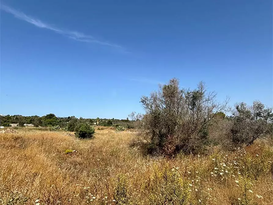 Immagine 3 di Terreno edificabile in vendita  in Via Kennedy  a Collepasso