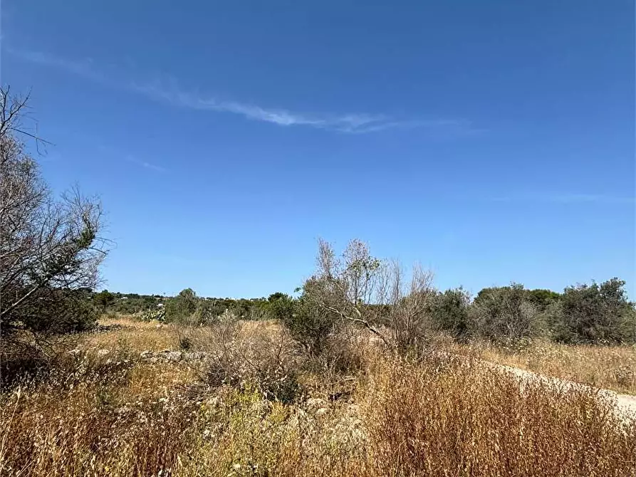 Immagine 4 di Terreno edificabile in vendita  in Via Kennedy  a Collepasso