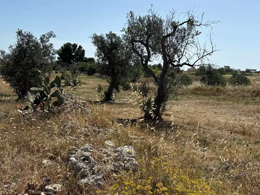 Immagine 5 di Terreno edificabile in vendita  in Via Kennedy  a Collepasso