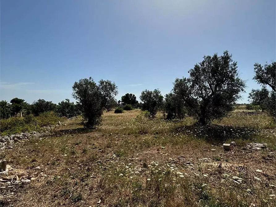 Immagine 7 di Terreno edificabile in vendita  in Via Kennedy  a Collepasso