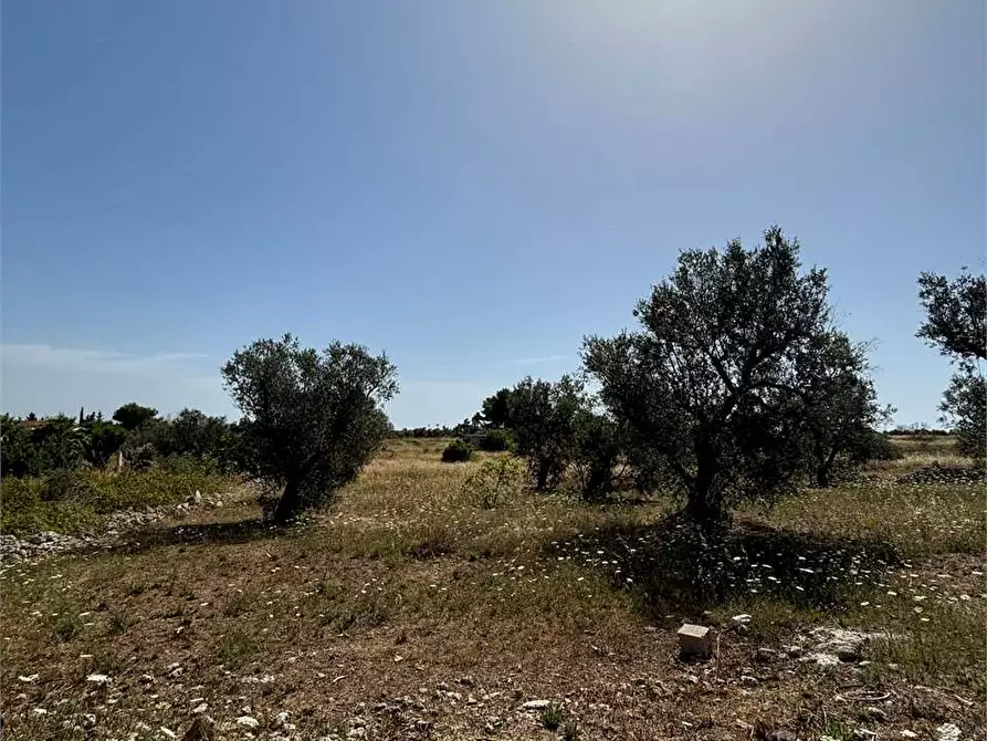 Immagine 8 di Terreno edificabile in vendita  in Via Kennedy  a Collepasso