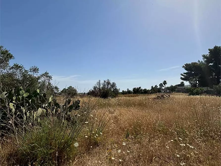 Immagine 9 di Terreno edificabile in vendita  in Via Kennedy  a Collepasso