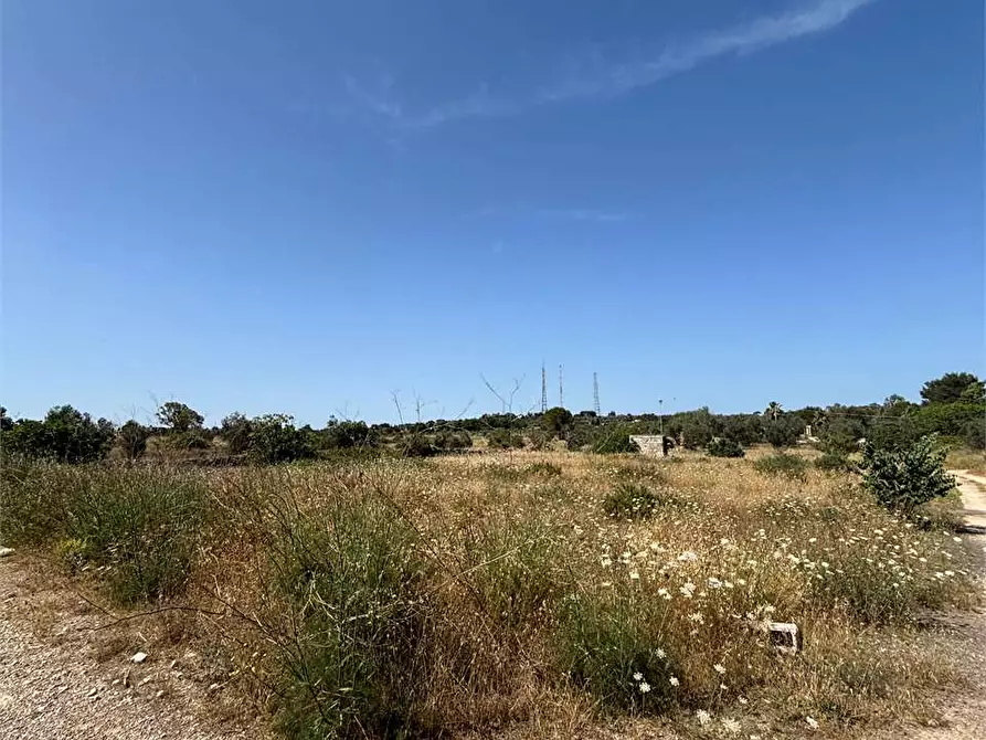 Immagine 10 di Terreno edificabile in vendita  in Via Kennedy  a Collepasso