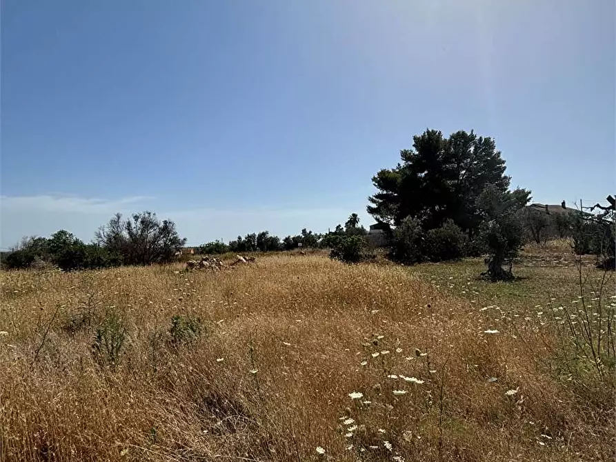 Immagine 12 di Terreno edificabile in vendita  in Via Kennedy  a Collepasso