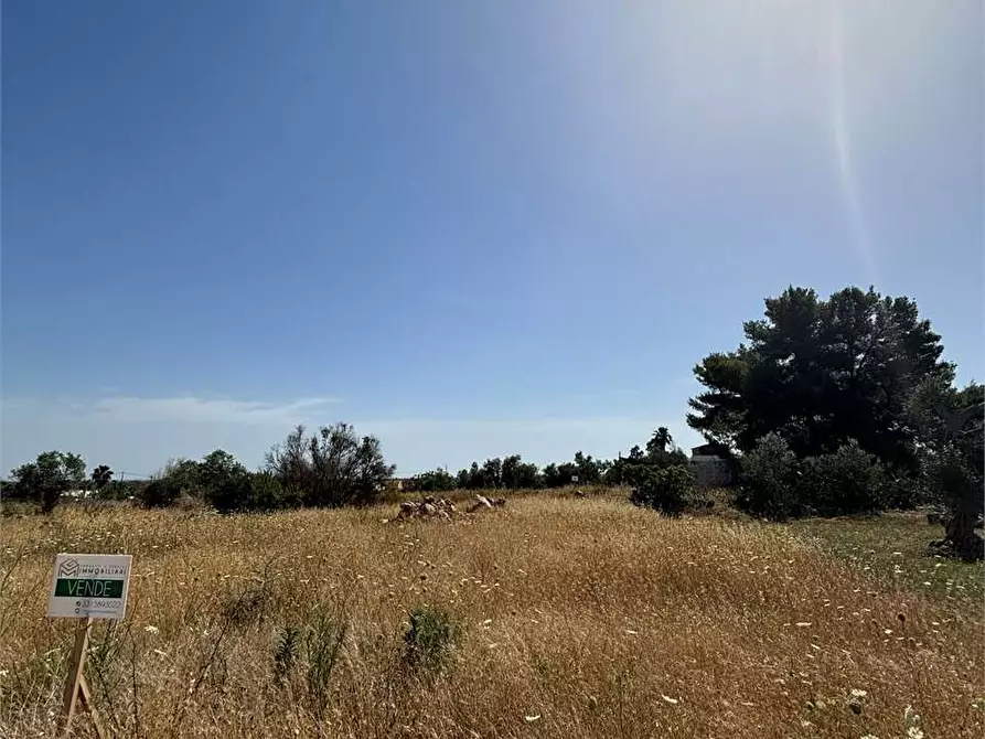Immagine 13 di Terreno edificabile in vendita  in Via Kennedy  a Collepasso