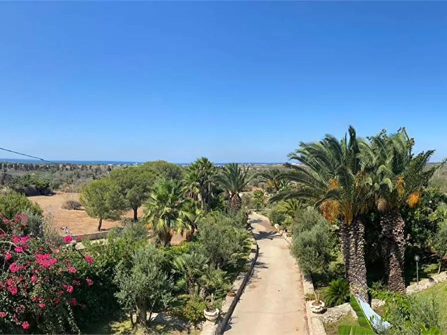 Immagine 9 di Villa in vendita  in CONTRADA DON CIRILLO  a Ugento