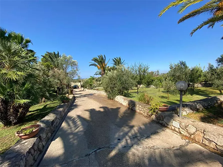 Immagine 10 di Villa in vendita  in CONTRADA DON CIRILLO  a Ugento